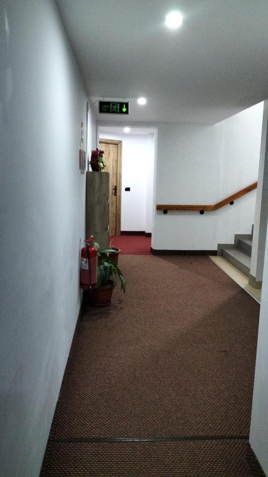 Pensiune Stirbu Borşa Exterior foto